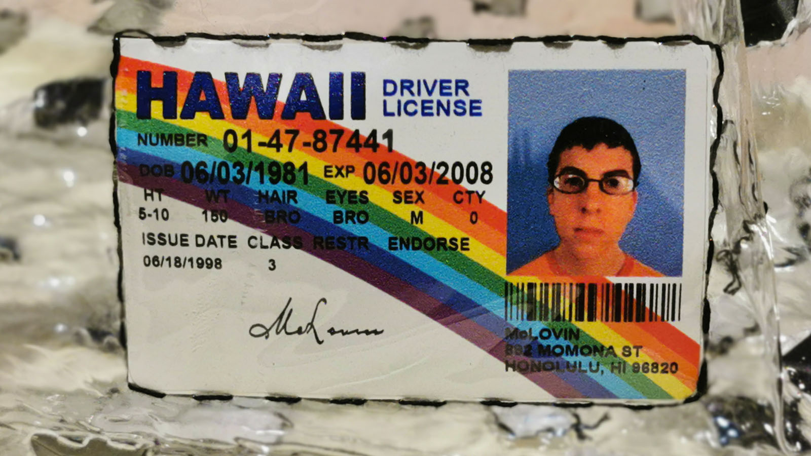 McLovin driver's licence from Superbad on display in museum