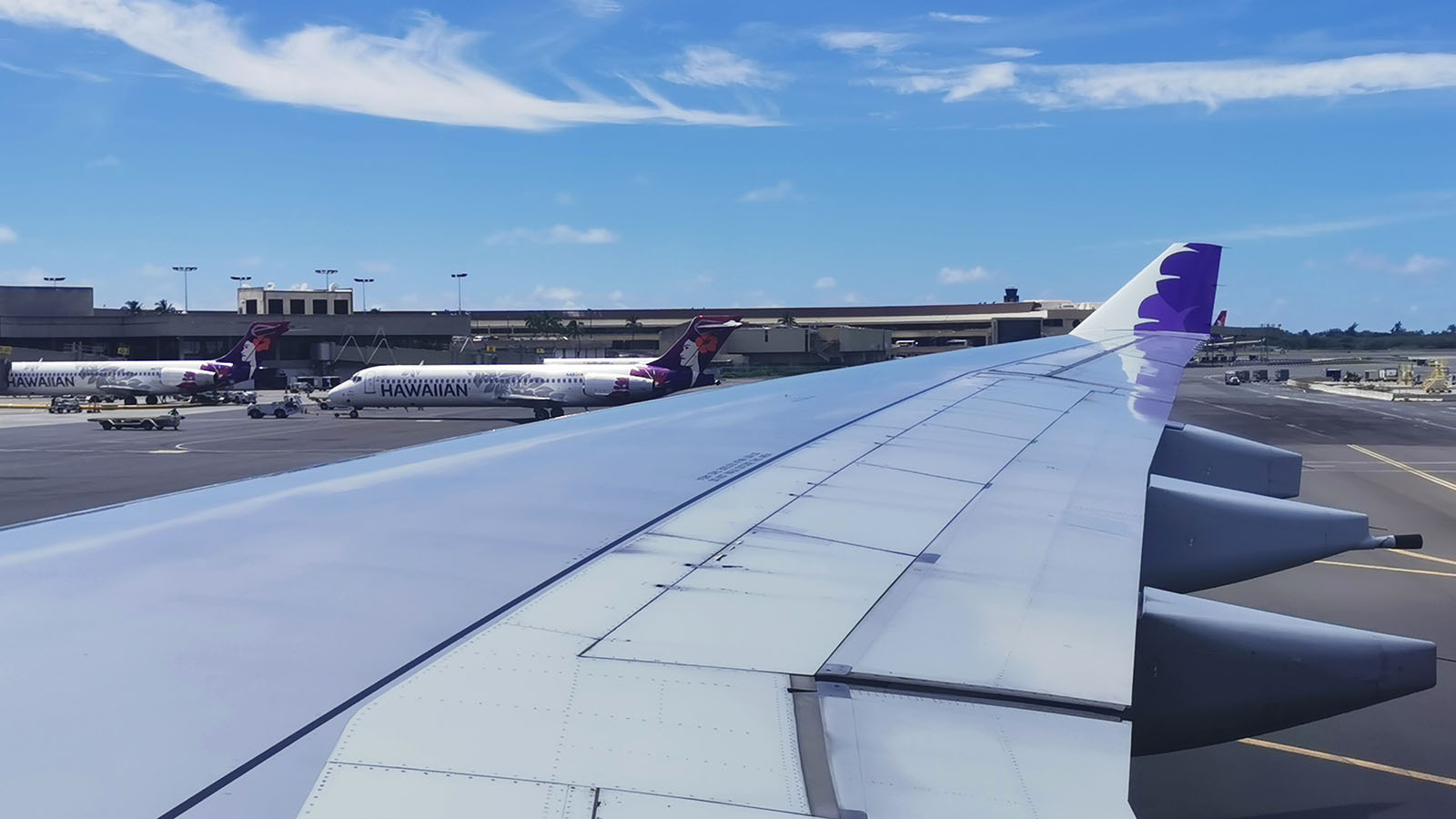 Review: Hawaiian Airlines Airbus A330 Economy - Point Hacks