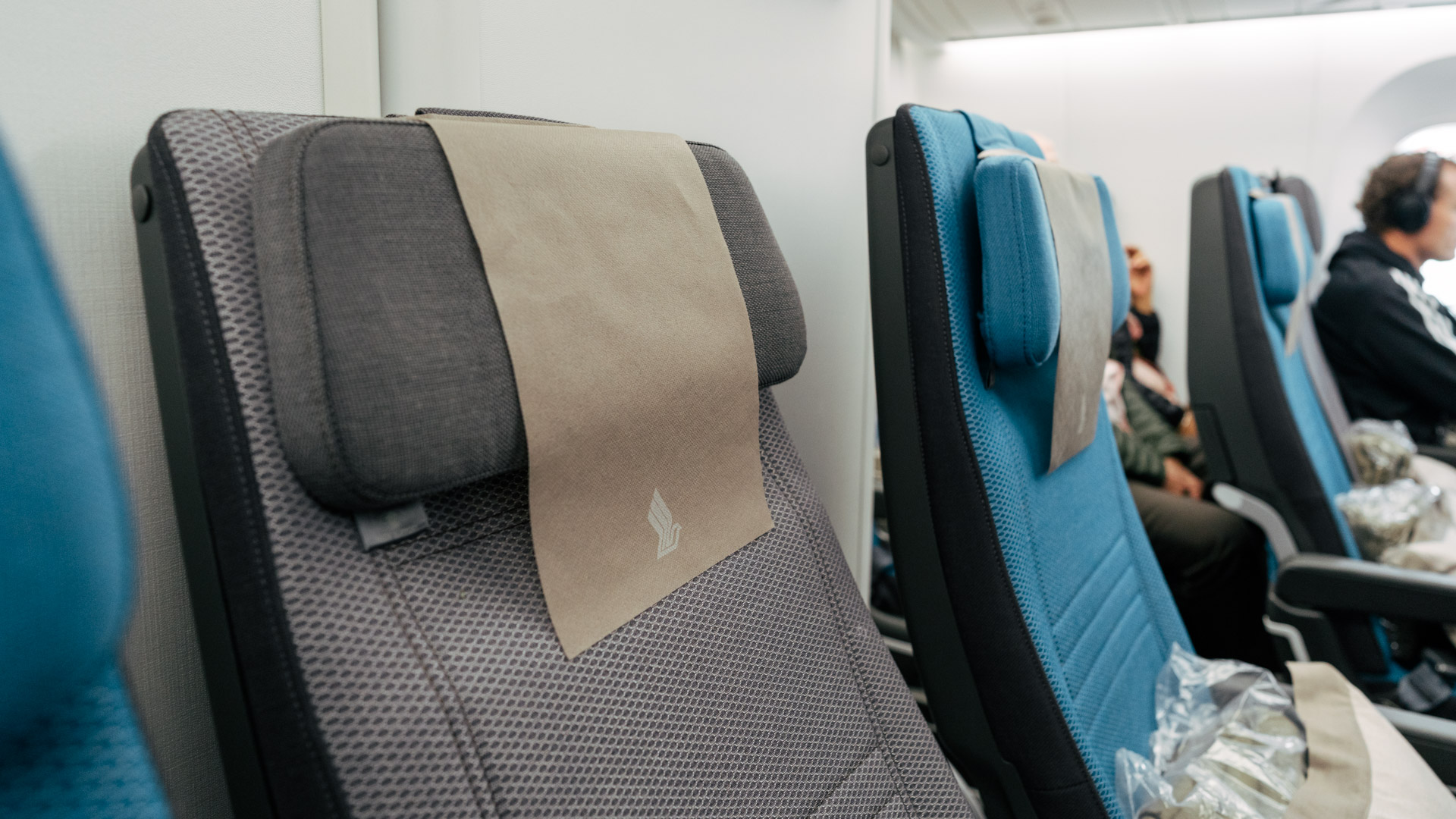 Singapore Airlines Boeing 787 Economy headrest