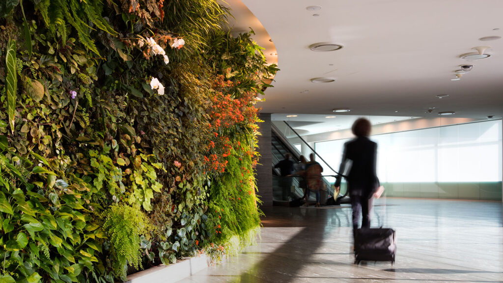 Qantas First Lounge access for lifetime oneworld Emerald