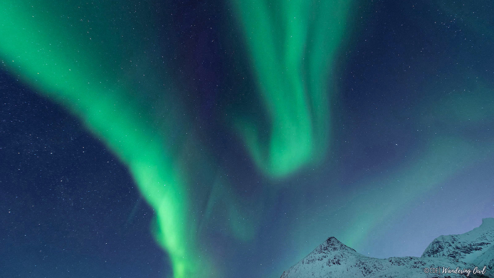 Bright Green Northern Lights Night Sky backdrop