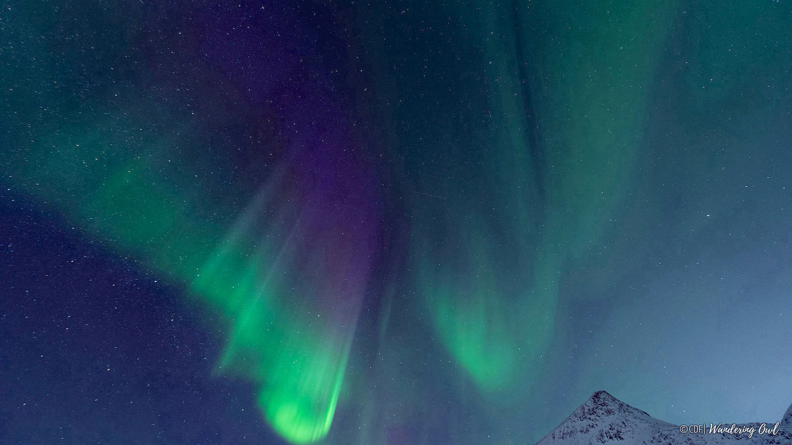 Green illuminating Northern Lights Tromso Norway