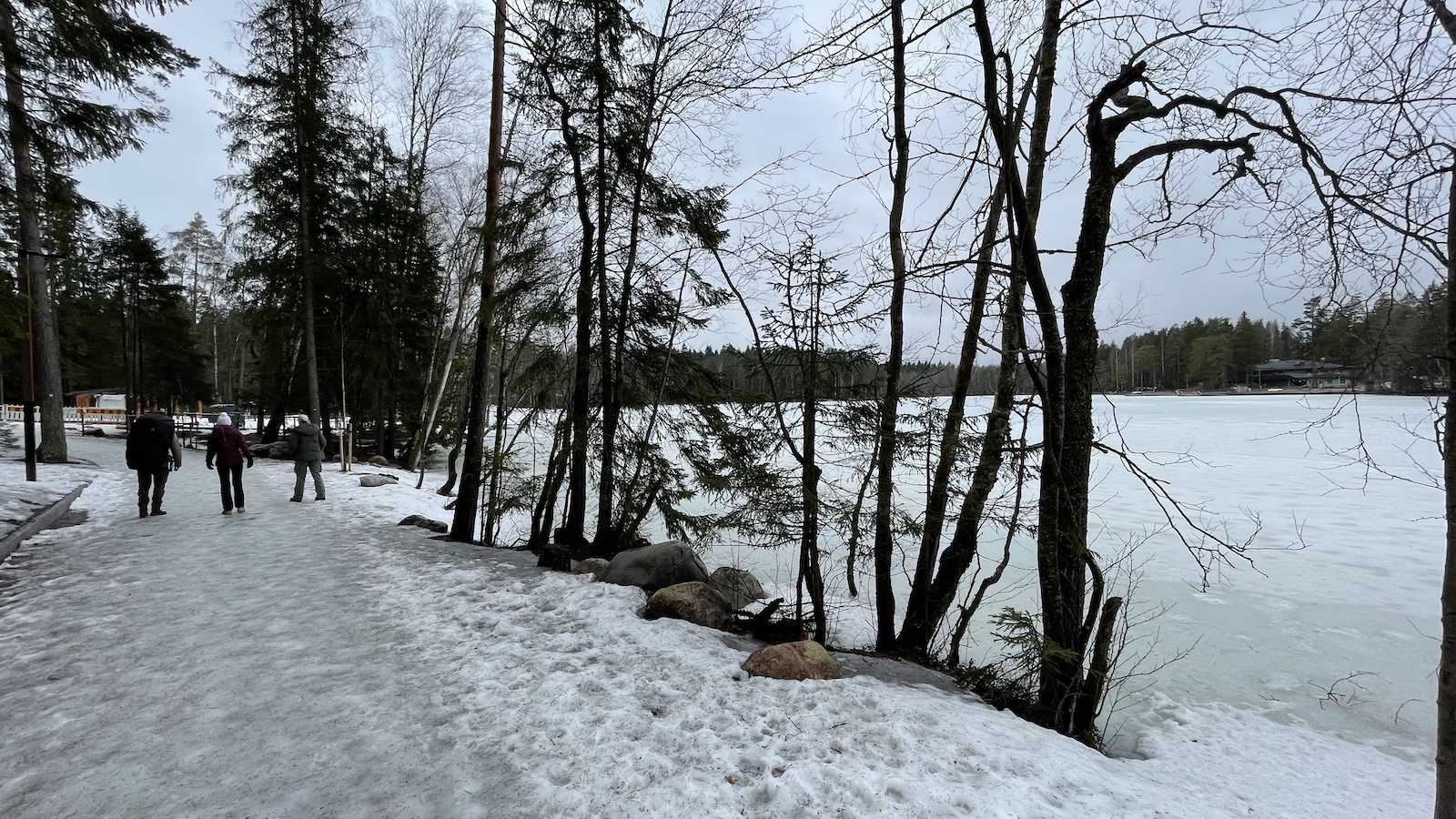 Helsinki Sipoonkorpi National Park Icy Pathway
