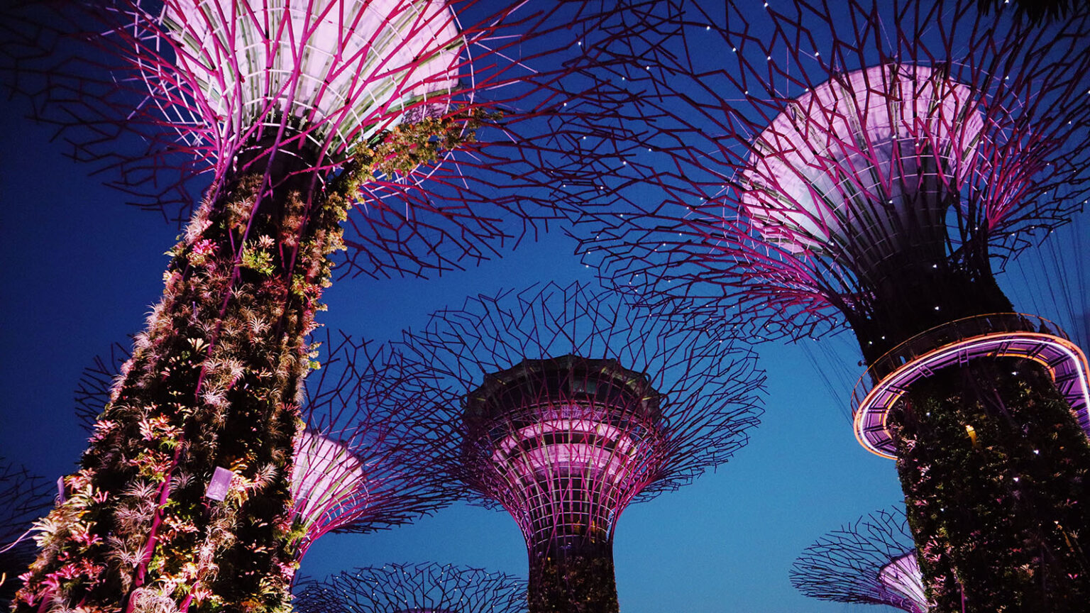 How To Use Velocity Points To Fly To Singapore Point Hacks how-to-use-velocity-points-to-fly-to-singapore-point-hacks