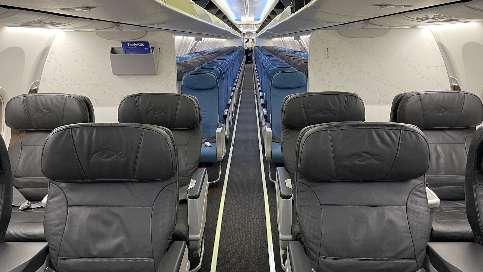 Rex Airlines Brisbane to Sydney 737 Business Economy Cabins Point Hacks