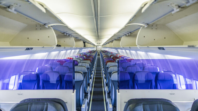 Rex Boeing 737 Economy Class