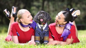 Virgin Australia plans pet-friendly flights