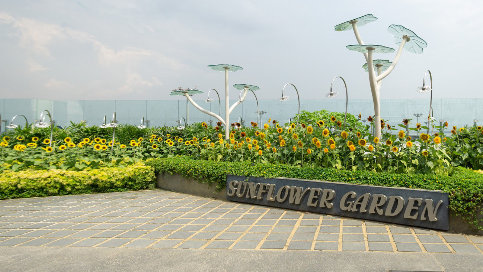 Changi Airport - Terminal 2 Sunflower Garden