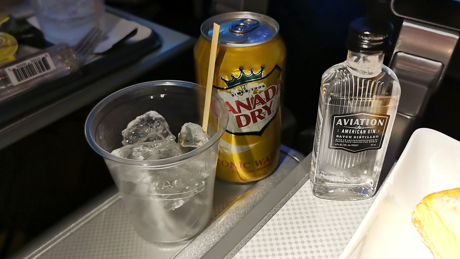 Gin in American Airlines Premium Economy