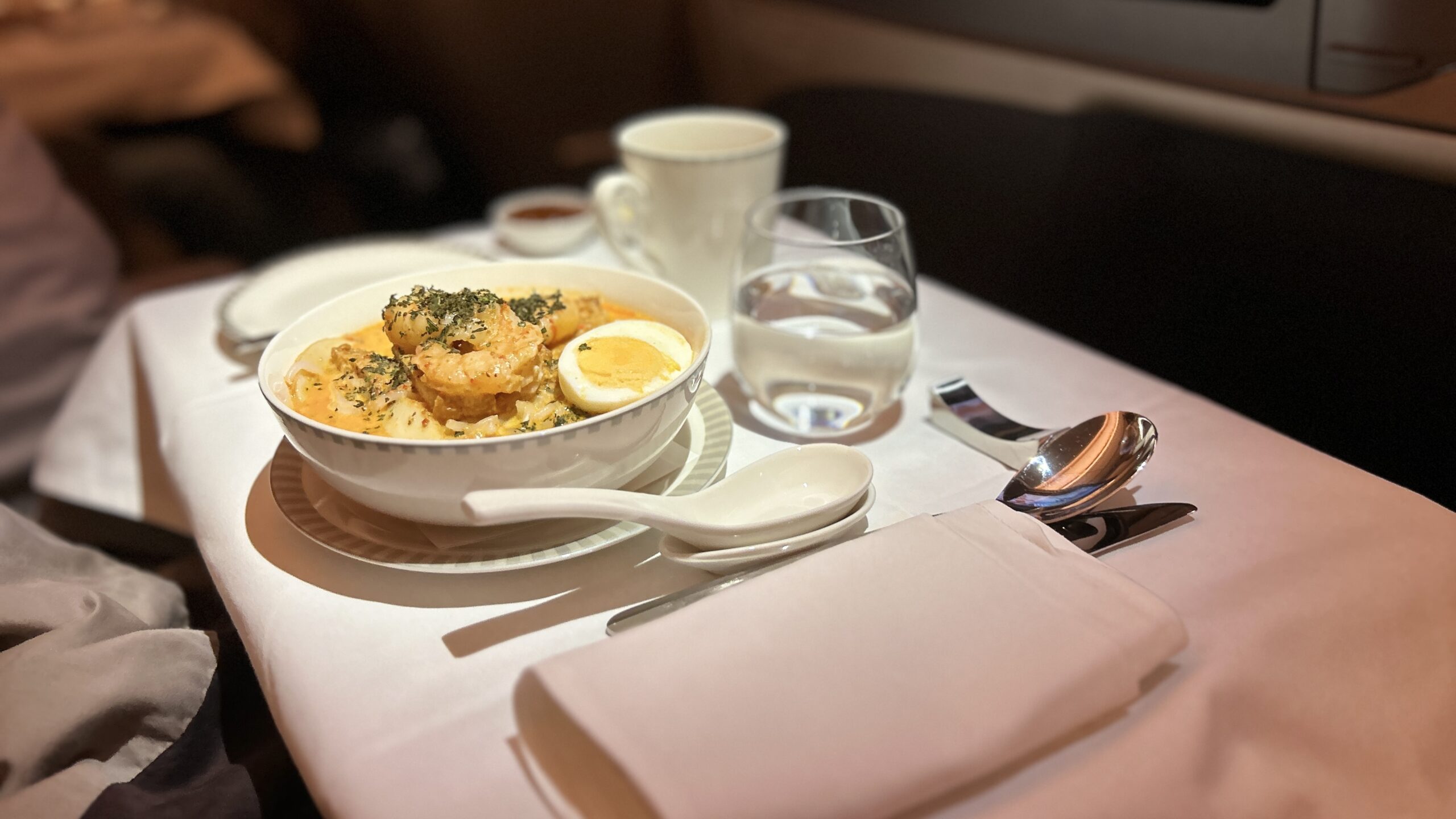 Singapore Airlines A350 Business Class Singapore to Brussels Book the Cook Point Hacks by Daniel Sciberras