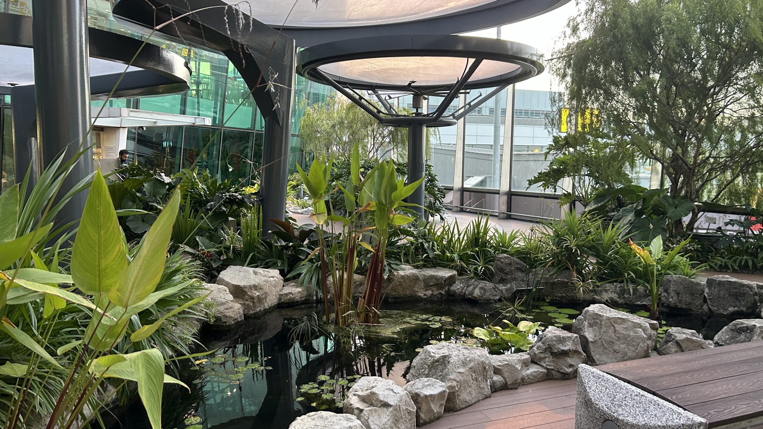 Water Lily Garden Terminal 1 Changi Airport Point Hacks by Daniel Sciberras