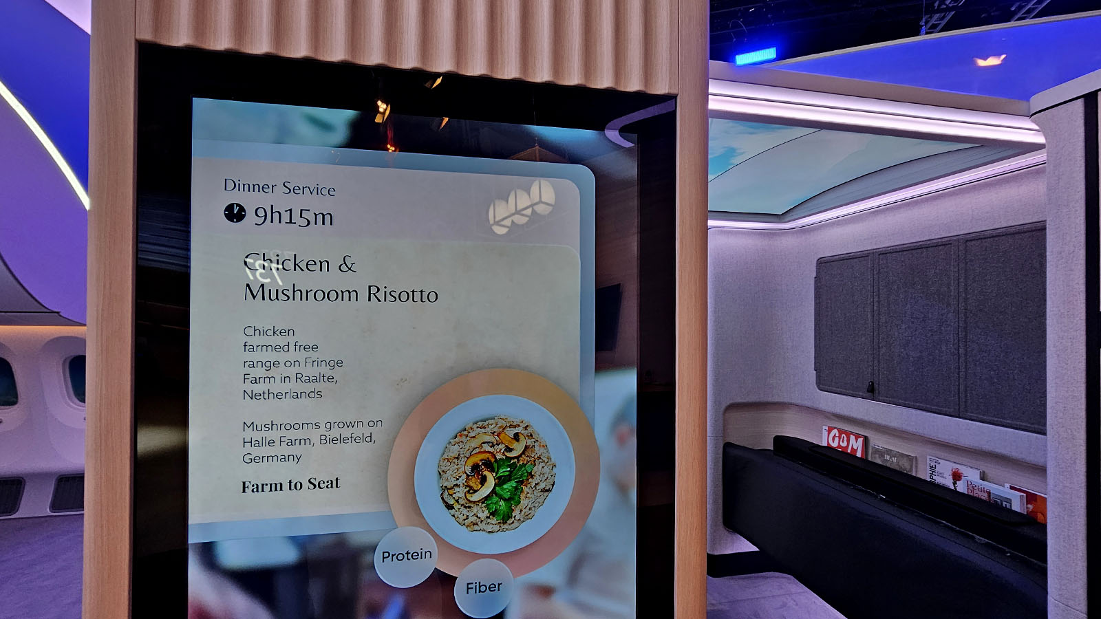 TV screen in Boeing's 787 Perch
