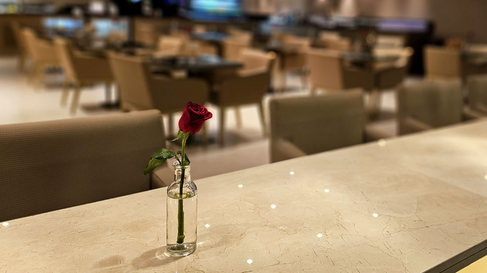 Flower in the Emirates Business Class Lounge, Dubai T3 Concourse C