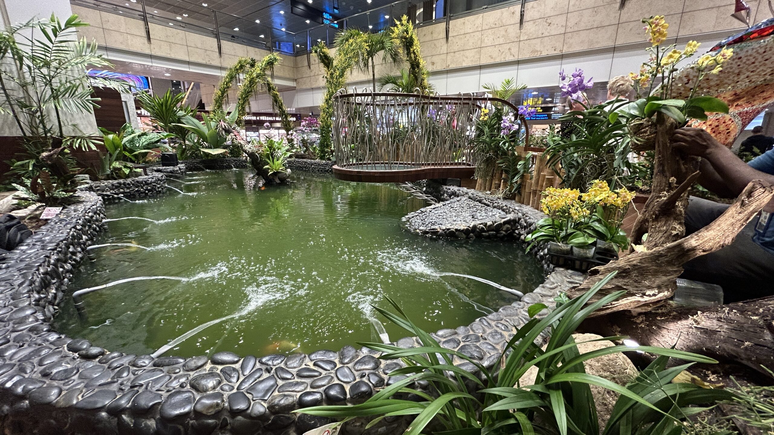 Changi Airport Enchanted Green Pool Point Hacks by Daniel Sciberras