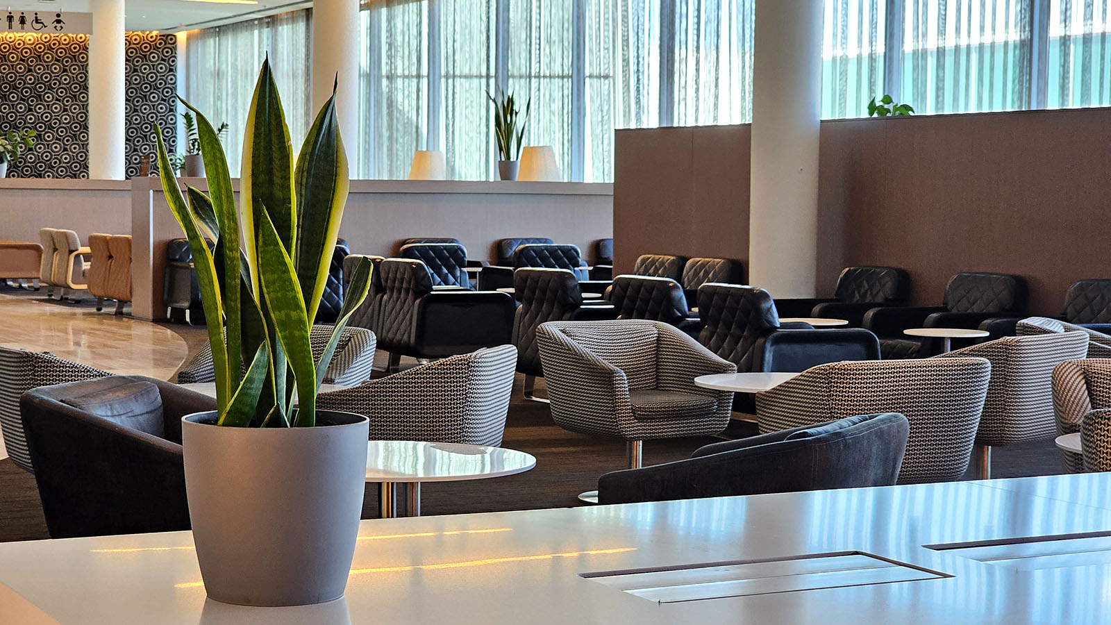 Greenery in the Qantas Domestic Business Lounge, Canberra