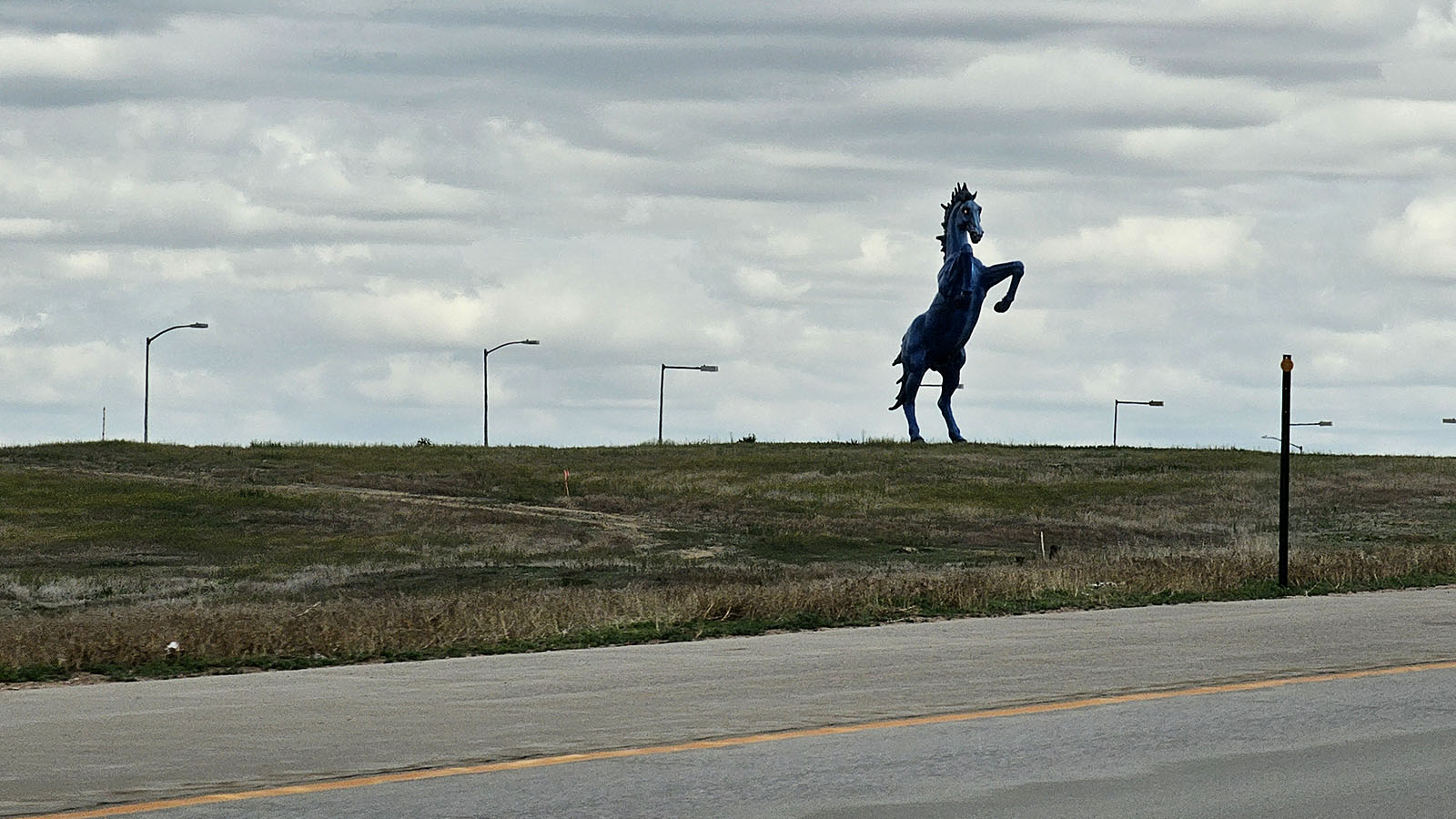 Blue Mustang in Denver