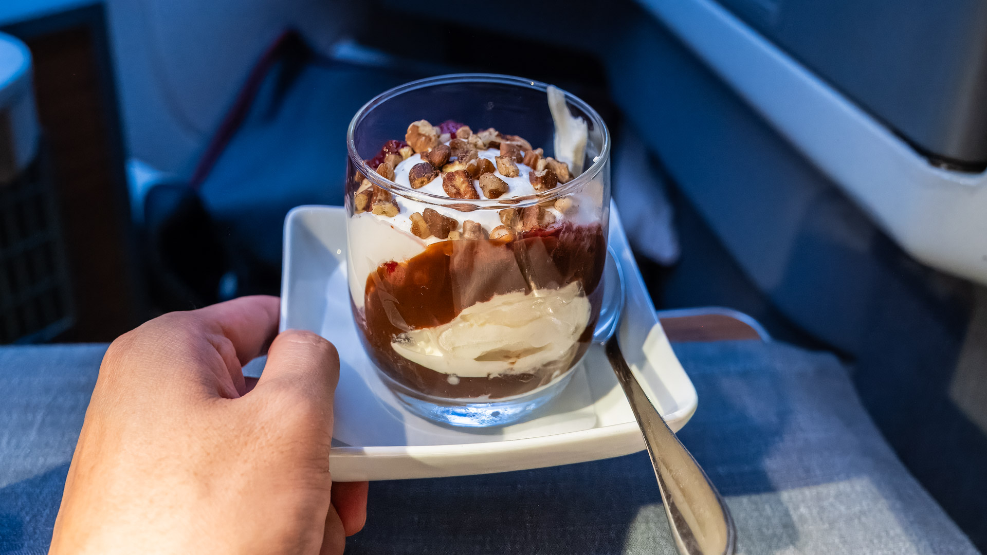 American Airlines Business Class sundae