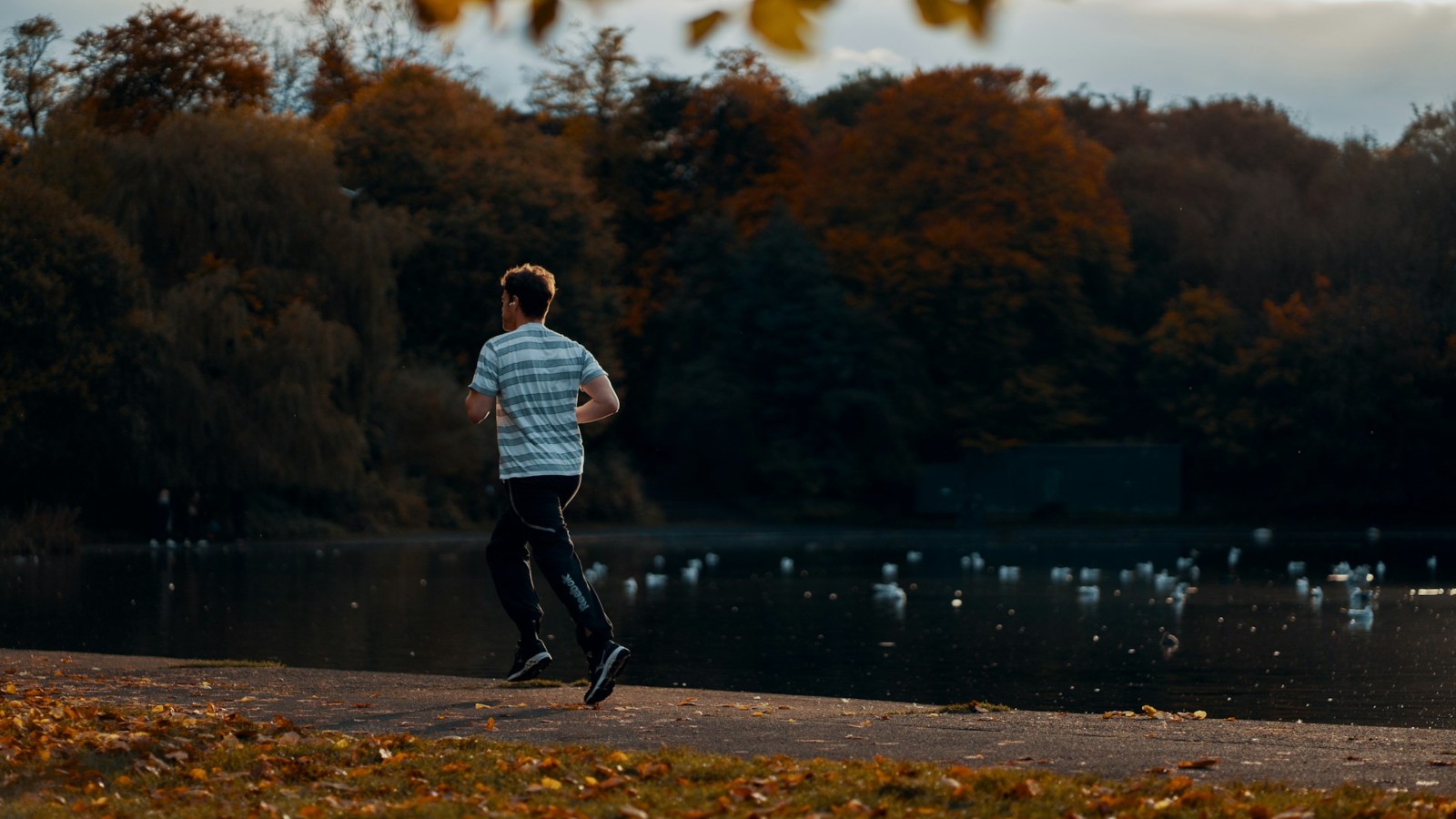 Person jogging in autumn