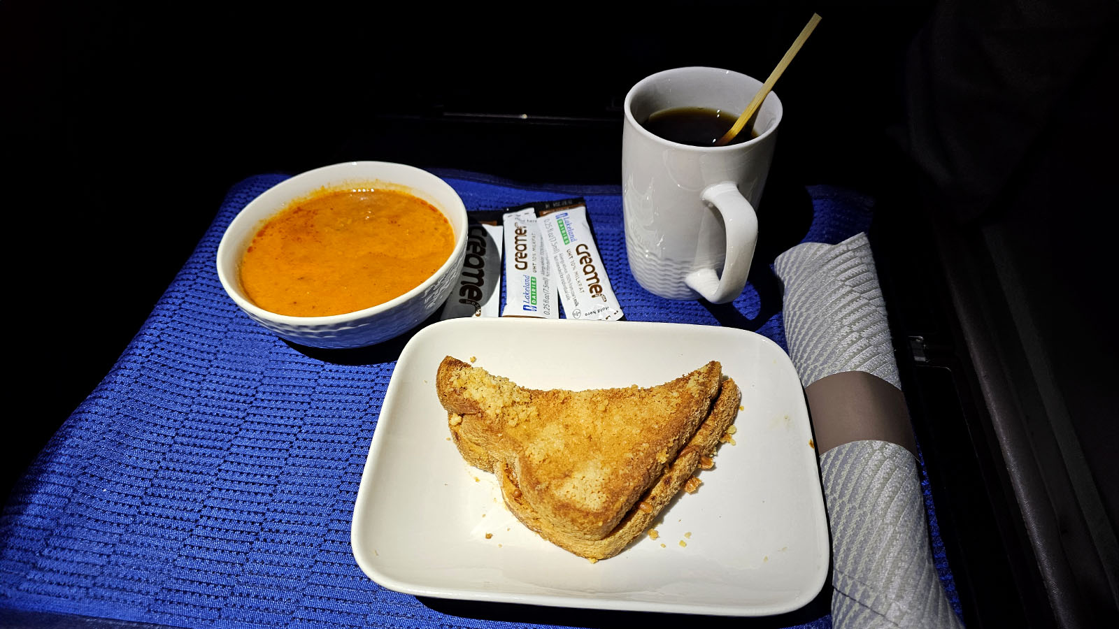 Toasted sandwich in Boeing 787 United Polaris