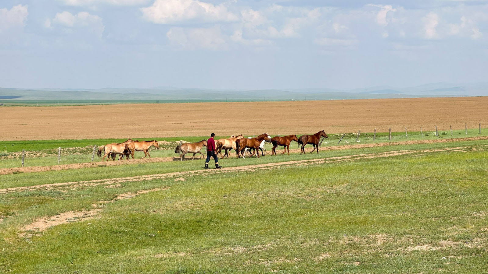 Photo of Mongolia