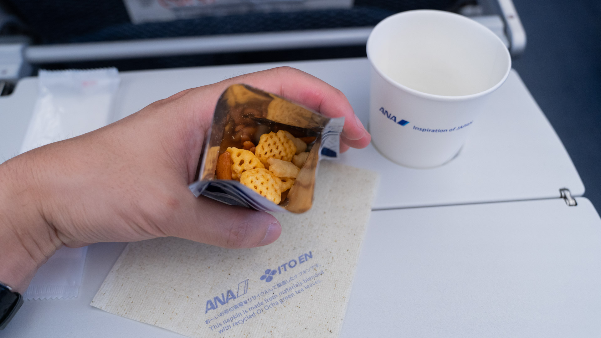 ANA Economy snack