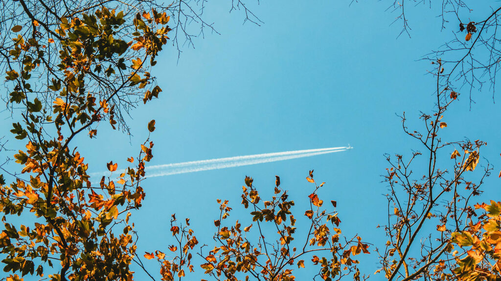 Airbus to run world's longest flights