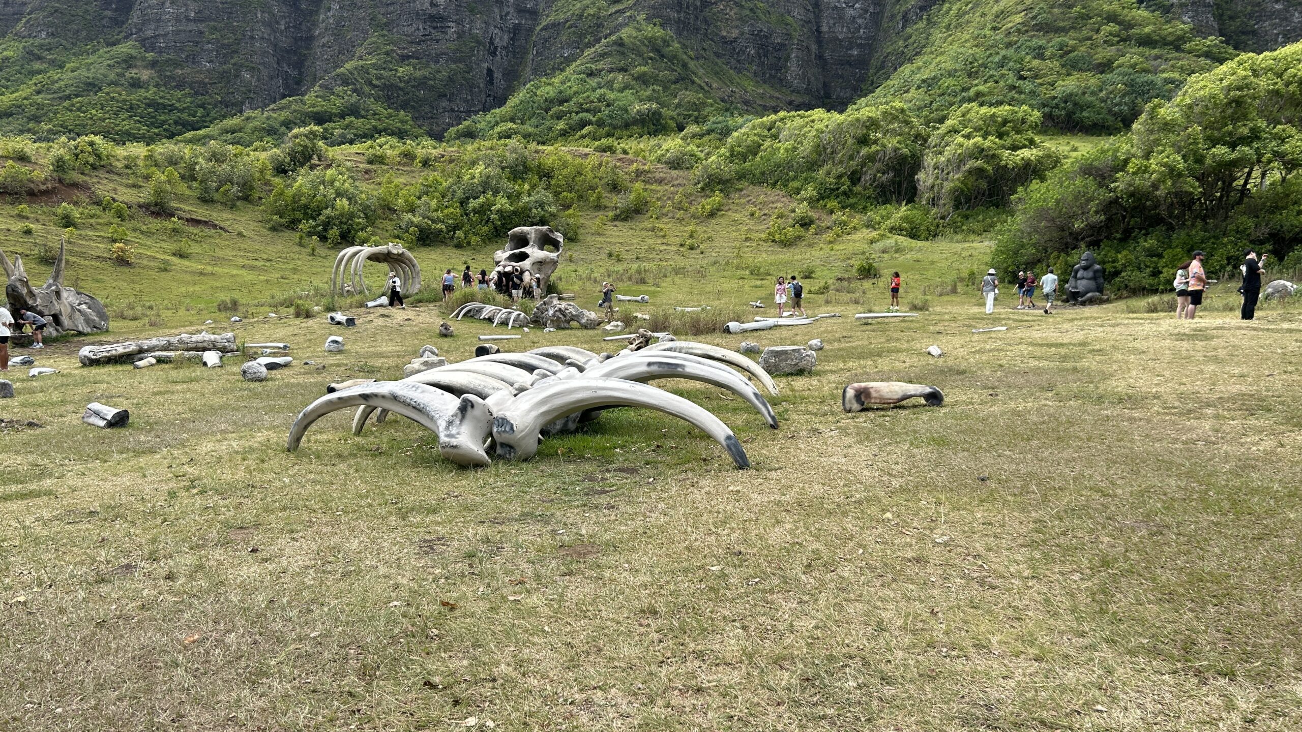 Kualoa Ranch Jurassic Park Bones Point Hacks by Daniel Sciberras