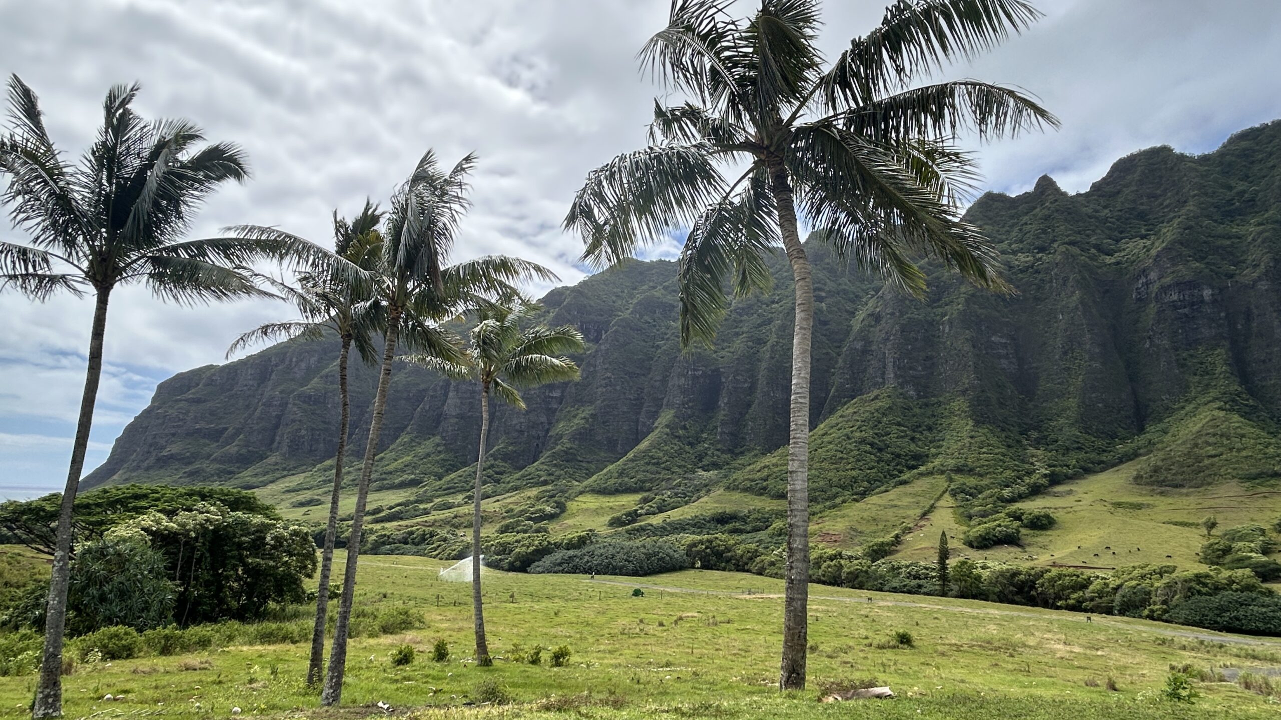 Kualoa Ranch Scenic Mountain Range Point Hacks by Daniel Sciberras