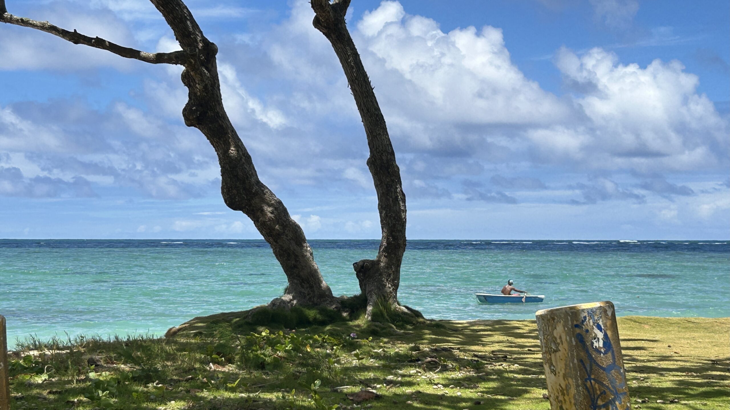 Honolulu Road Trip Crytsal Clear Water Point Hacks by Daniel Sciberras