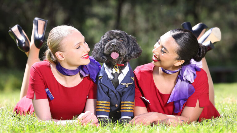 Virgin Australia pets on planes