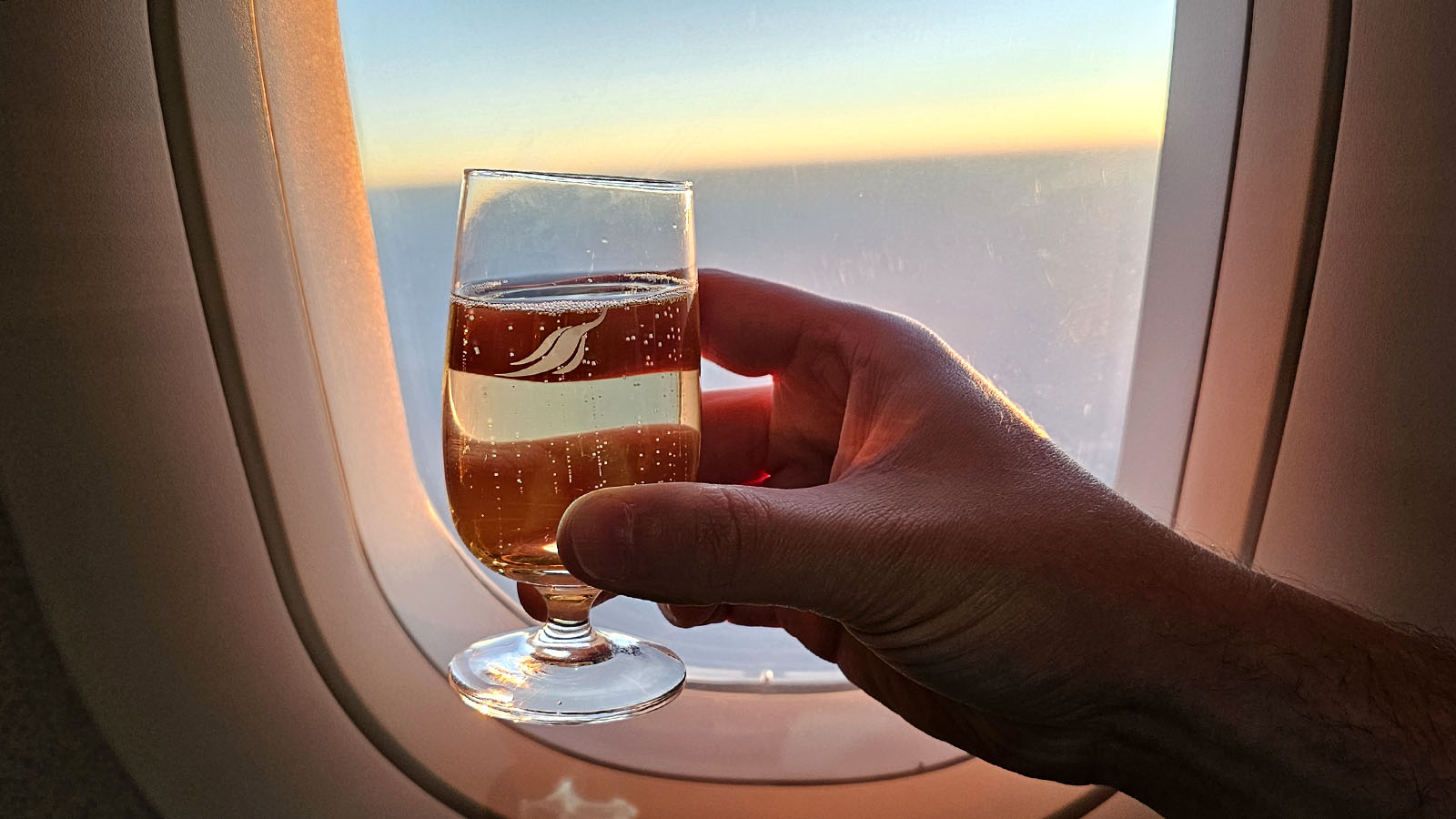 SriLankan Airlines A320 Business Class