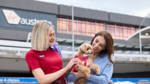 A traveller’s guide to flying with pets on Virgin Australia