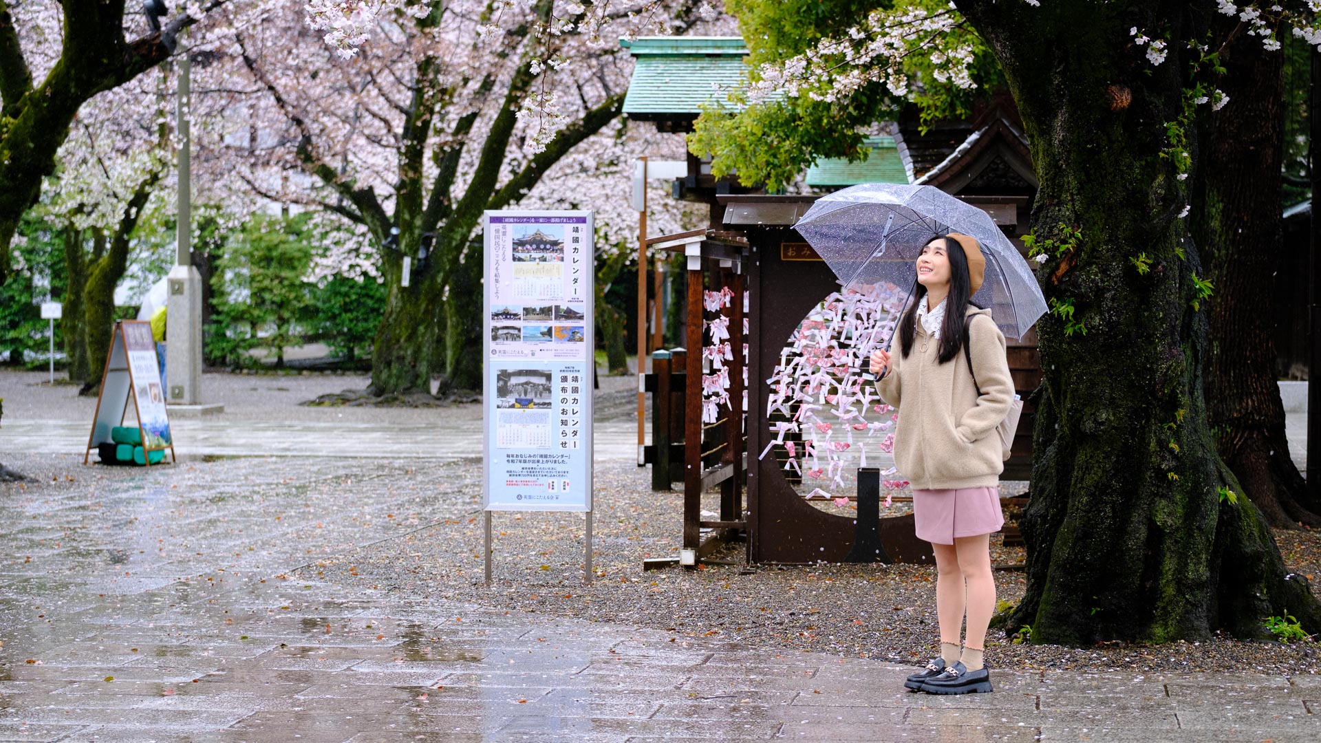 Visitor holding an umbrella under cherry blossoms at Yasakuni-jinja Shrine in Tokyo
