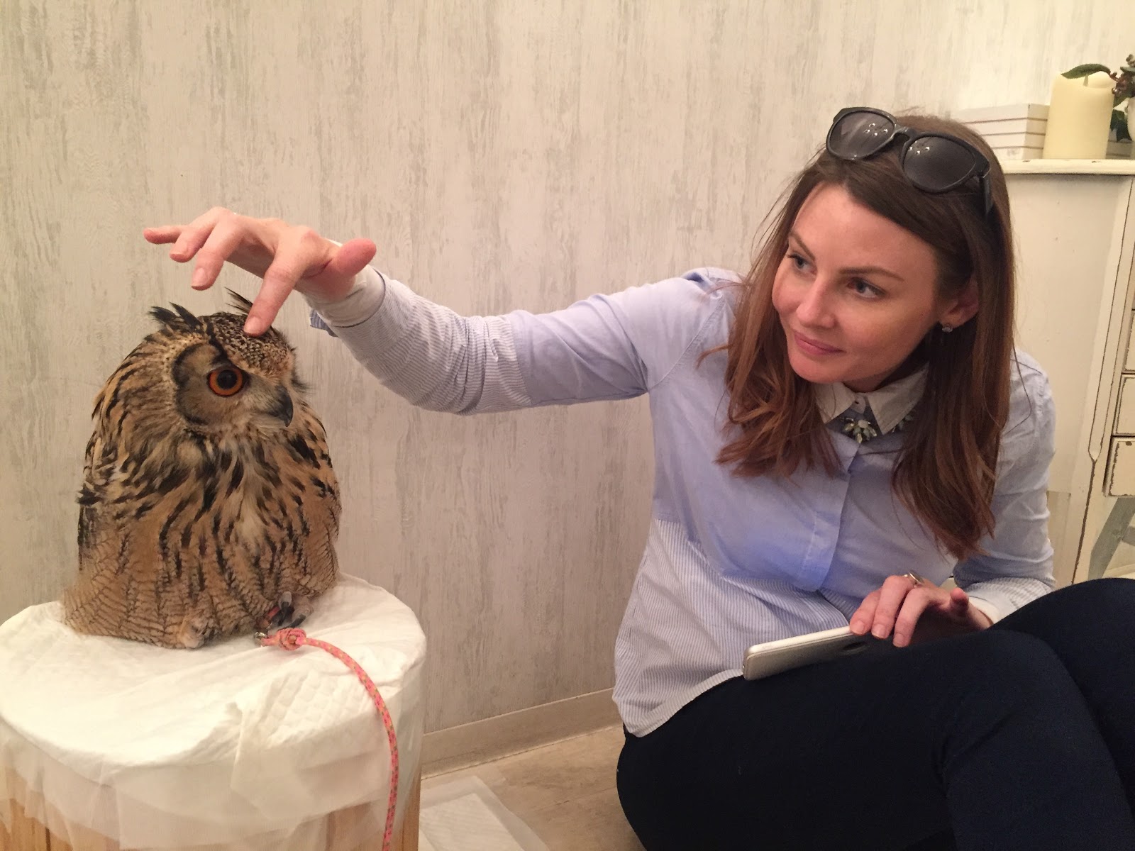 Owl Cafe Tokyo | Point Hacks