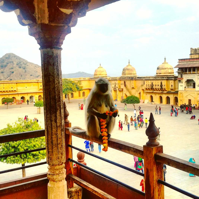 India Amber Fort | Point Hacks