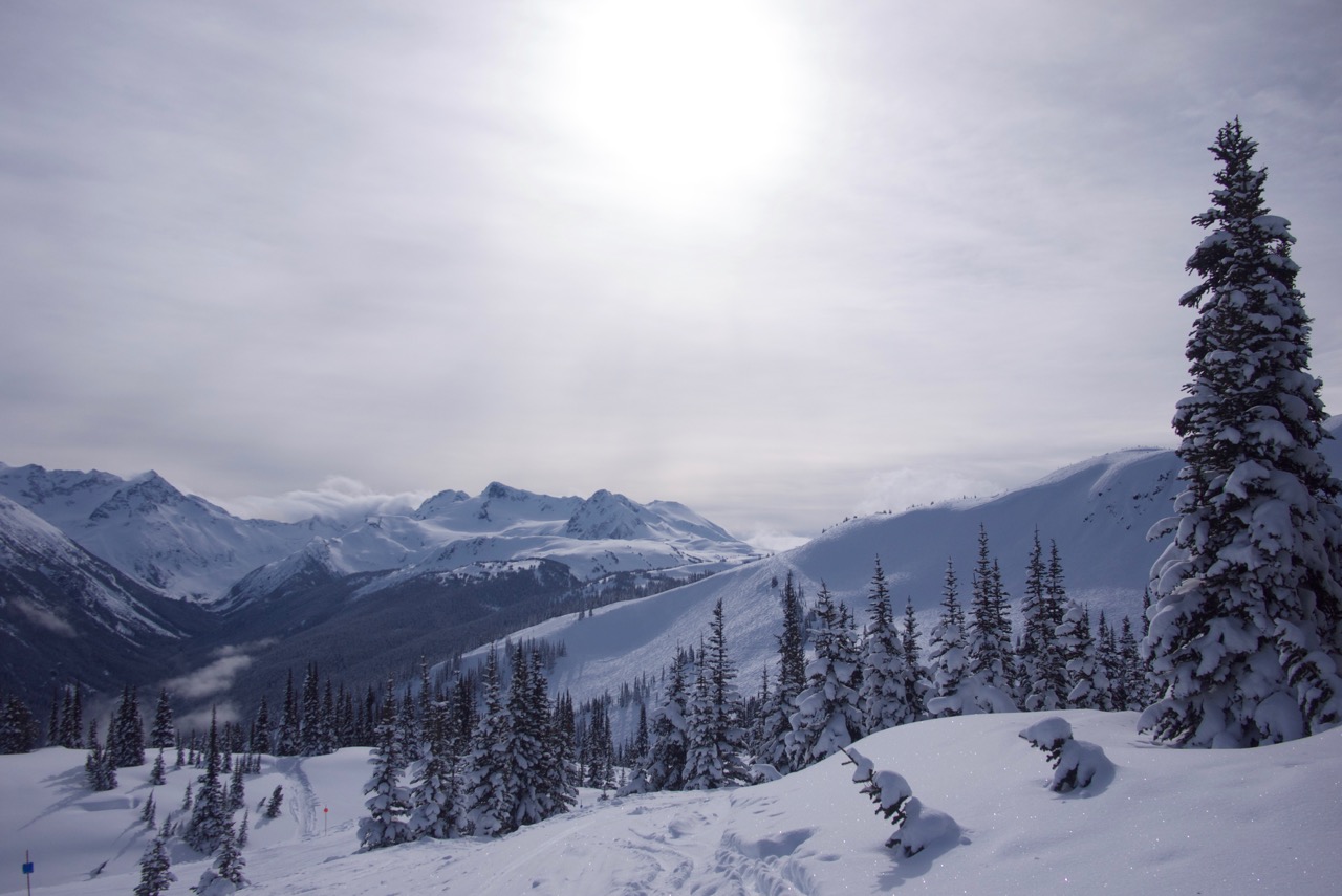 Whistler Skiing (3) | Point Hacks